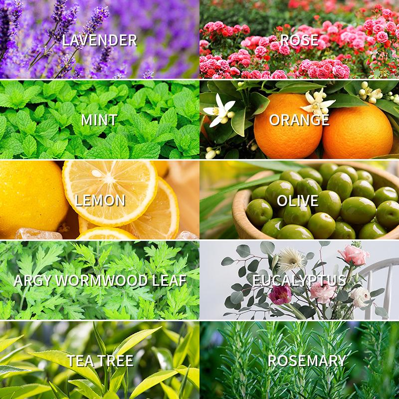 Aromatherapy Essential Oil 10m - Perfume Fragrance Oil 评论和价格